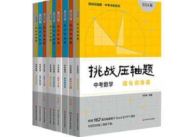 2025年中考数学复习之挑战压轴题990题